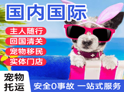 兴东航空运输国际宠物托运 【国